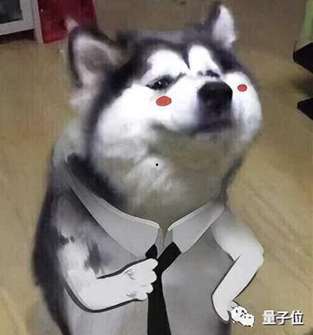 狗狗最新爆料图片表情包,萌态百出，笑点连连