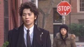 日本《花样男子》续集,青春校园再续传奇，新篇章绽放璀璨光芒